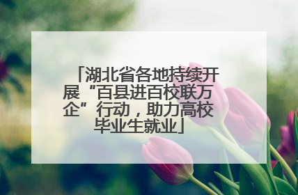湖北省各地持续开展“百县进百校联万企”行动，助力高校毕业生就业