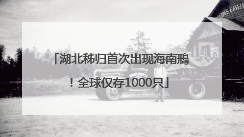 湖北秭归首次出现海南鳽！全球仅存1000只