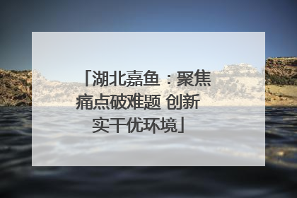 湖北嘉鱼：聚焦痛点破难题 创新实干优环境
