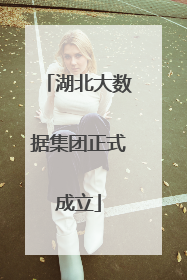 湖北大数据集团正式成立