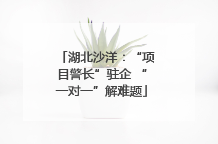 湖北沙洋：“项目警长”驻企 “一对一”解难题