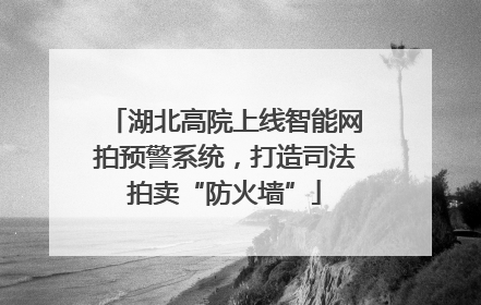 湖北高院上线智能网拍预警系统，打造司法拍卖“防火墙”