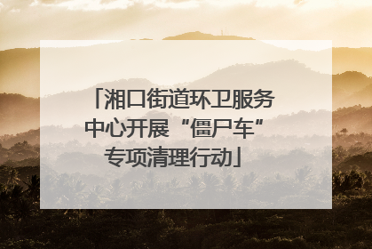湘口街道环卫服务中心开展“僵尸车”专项清理行动