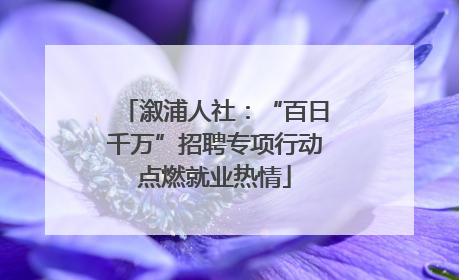 溆浦人社：“百日千万”招聘专项行动点燃就业热情