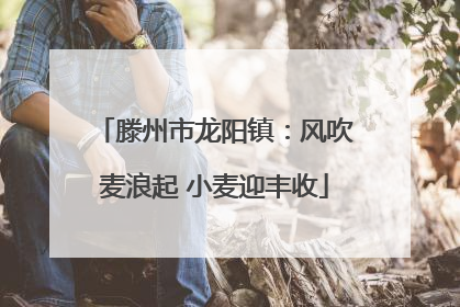 滕州市龙阳镇：风吹麦浪起 小麦迎丰收