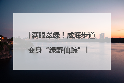 满眼翠绿！威海步道变身“绿野仙踪”
