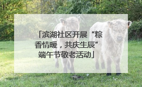 滨湖社区开展“粽香情暖，共庆生辰”端午节敬老活动