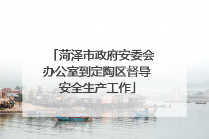 菏泽市政府安委会办公室到定陶区督导安全生产工作