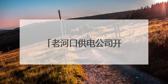 老河口供电公司开展“6·16安全宣传咨询日”活动