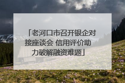 老河口市召开银企对接座谈会 信用评价助力破解融资难题