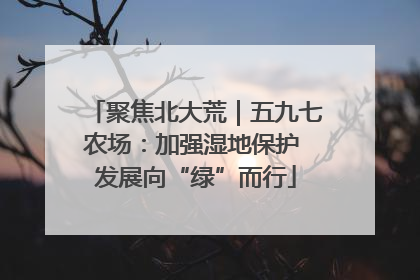 聚焦北大荒｜五九七农场：加强湿地保护 发展向“绿”而行