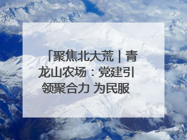 聚焦北大荒｜青龙山农场：党建引领聚合力 为民服务践初心