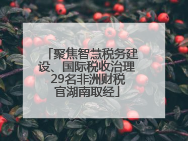 聚焦智慧税务建设、国际税收治理 29名非洲财税官湖南取经