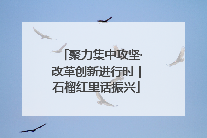 聚力集中攻坚·改革创新进行时｜石榴红里话振兴