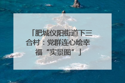 肥城仪阳街道下三合村：党群连心绘幸福“实景图”