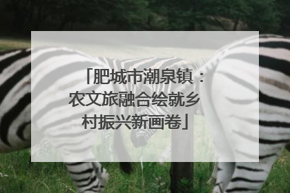 肥城市潮泉镇：农文旅融合绘就乡村振兴新画卷