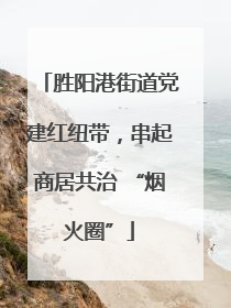 胜阳港街道党建红纽带，串起商居共治 “烟火圈”