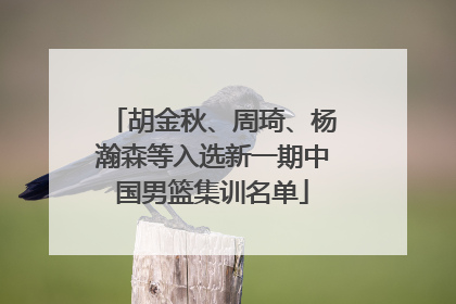 胡金秋、周琦、杨瀚森等入选新一期中国男篮集训名单