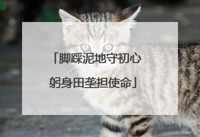 脚踩泥地守初心 躬身田垄担使命
