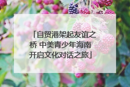 自贸港架起友谊之桥 中美青少年海南开启文化对话之旅