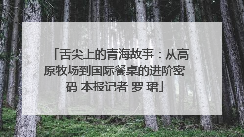 舌尖上的青海故事：从高原牧场到国际餐桌的进阶密码 本报记者 罗 珺