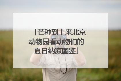 芒种到丨来北京动物园看动物们的夏日纳凉图鉴