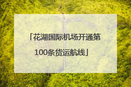 花湖国际机场开通第100条货运航线