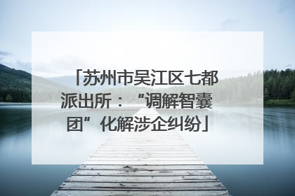 苏州市吴江区七都派出所：“调解智囊团”化解涉企纠纷