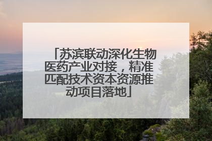 苏滨联动深化生物医药产业对接，精准匹配技术资本资源推动项目落地