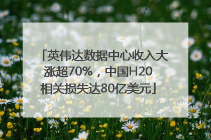 英伟达数据中心收入大涨超70%，中国H20相关损失达80亿美元