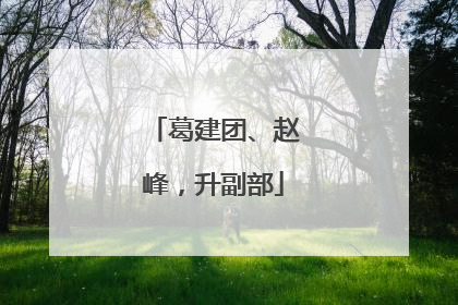 葛建团、赵峰，升副部