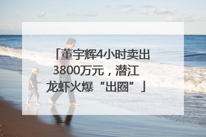 董宇辉4小时卖出3800万元，潜江龙虾火爆“出圈”