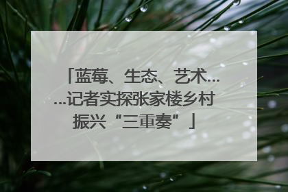 蓝莓、生态、艺术……记者实探张家楼乡村振兴“三重奏”