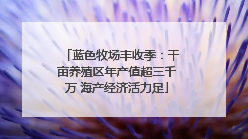 蓝色牧场丰收季：千亩养殖区年产值超三千万 海产经济活力足