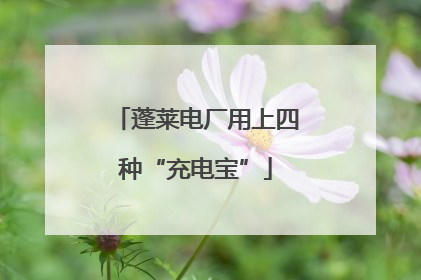 蓬莱电厂用上四种“充电宝”