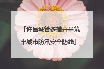 许昌城管多措并举筑牢城市防汛安全防线