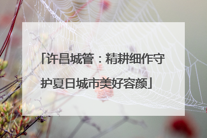 许昌城管：精耕细作守护夏日城市美好容颜