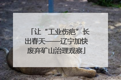 让“工业伤疤”长出春天——辽宁加快废弃矿山治理观察