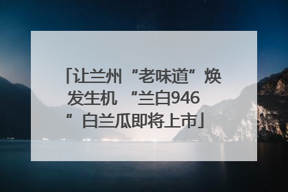 让兰州“老味道”焕发生机 “兰白946”白兰瓜即将上市