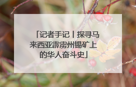 记者手记丨探寻马来西亚霹雳州锡矿上的华人奋斗史