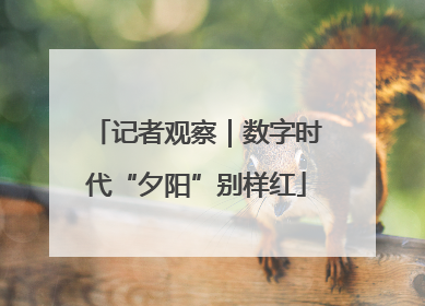 记者观察｜数字时代“夕阳”别样红