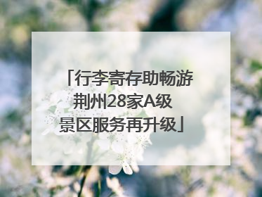 行李寄存助畅游 荆州28家A级景区服务再升级