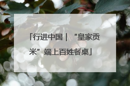 行进中国｜“皇家贡米”端上百姓餐桌