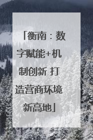 衡南：数字赋能+机制创新 打造营商环境新高地