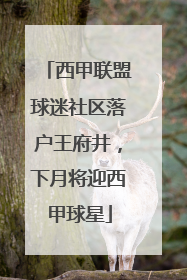 西甲联盟球迷社区落户王府井，下月将迎西甲球星