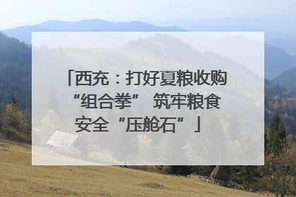 西充：打好夏粮收购“组合拳” 筑牢粮食安全“压舱石”