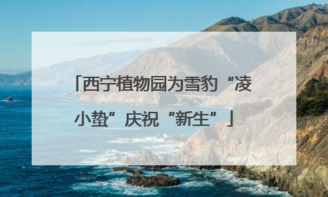 西宁植物园为雪豹“凌小蛰”庆祝“新生”