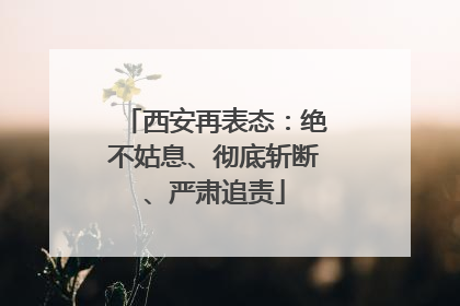 西安再表态：绝不姑息、彻底斩断、严肃追责