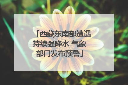 西藏东南部遭遇持续强降水 气象部门发布预警