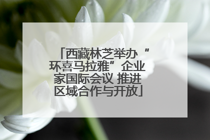 西藏林芝举办“环喜马拉雅”企业家国际会议 推进区域合作与开放